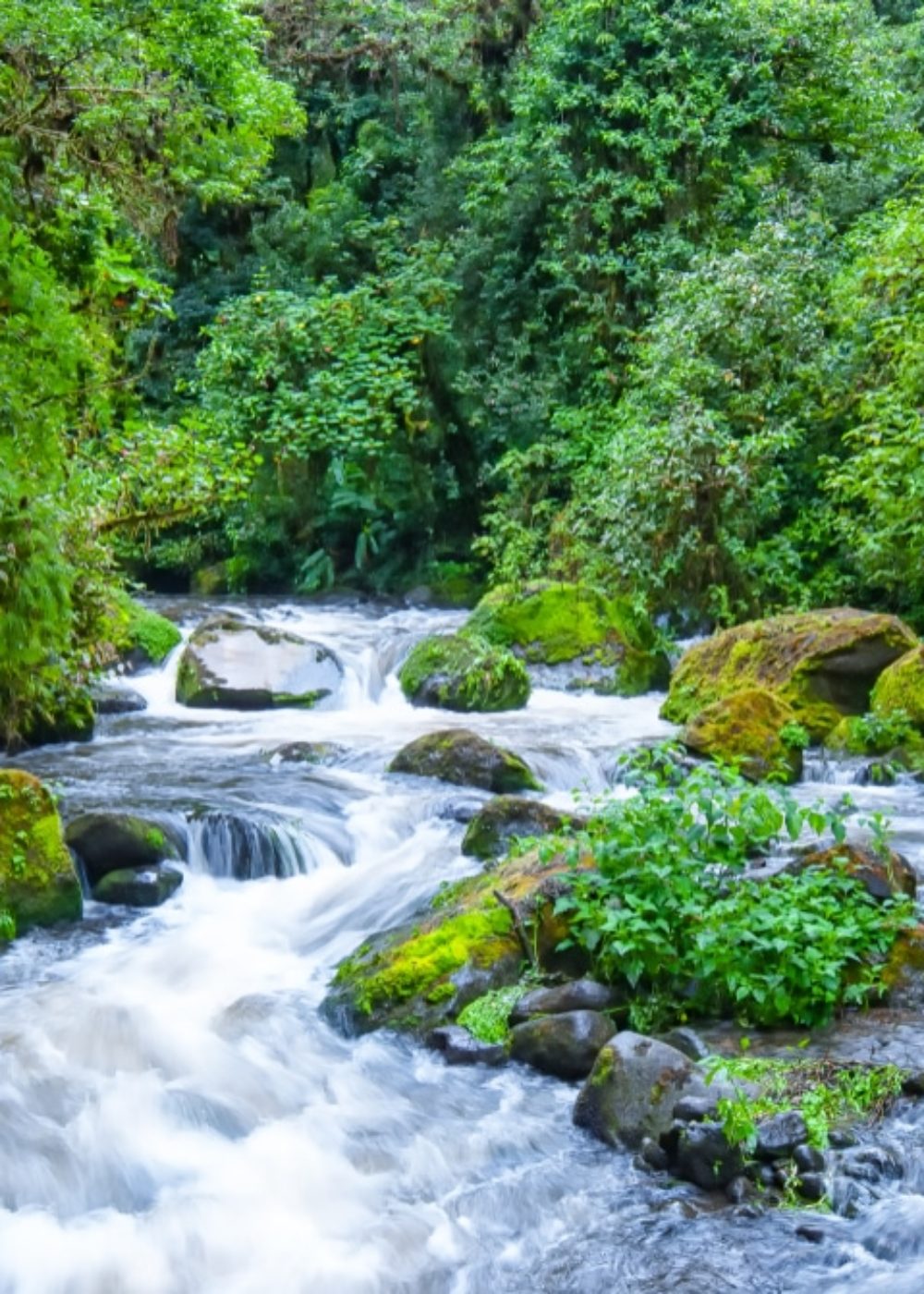 copine de voyage costa rica