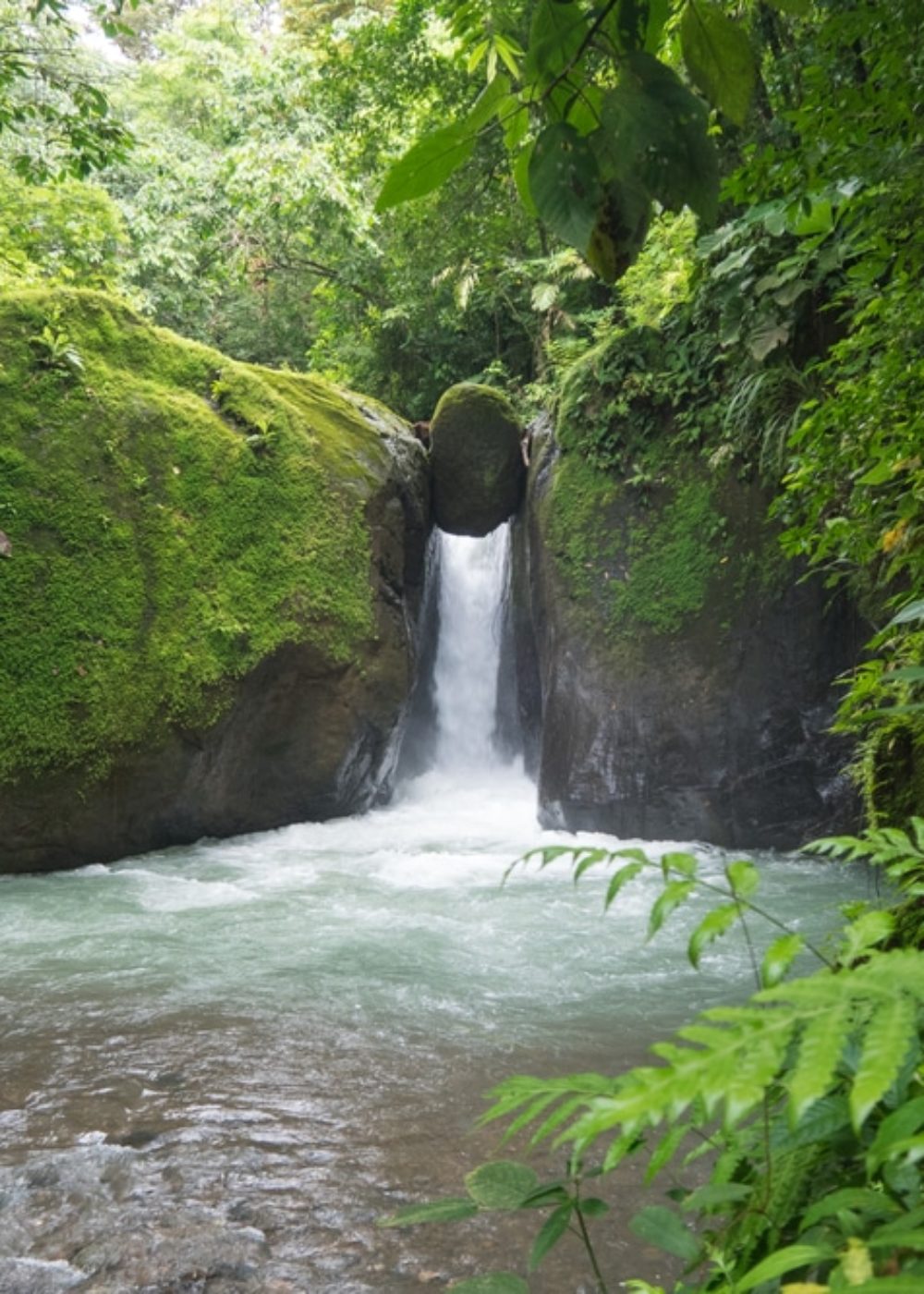 copine de voyage costa rica