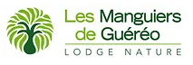 agence voyage connections namur
